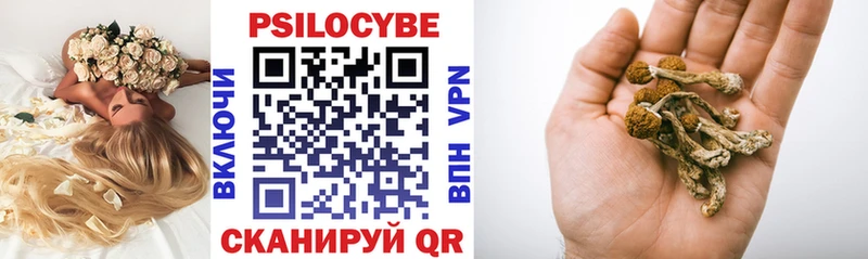 Псилоцибиновые грибы прущие грибы  Купить где  Мыски 